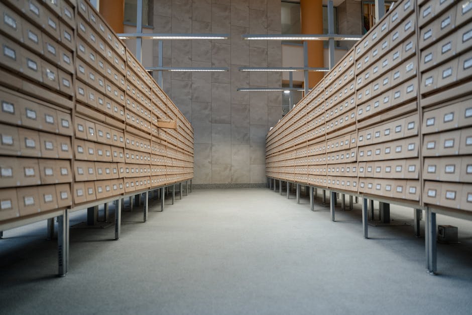 Organised warehouse shelving system showing clear aisle paths and labelled storage zones